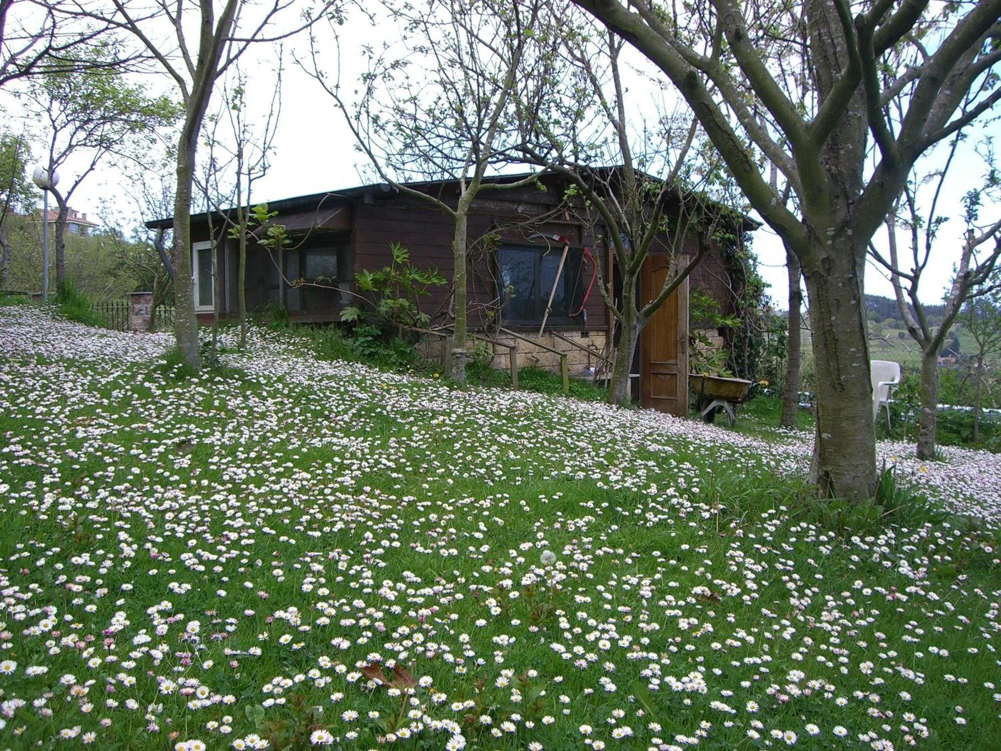 Hotel Rural La Curva Ribadesella Sardalla ภายนอก รูปภาพ