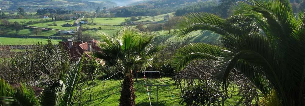 Hotel Rural La Curva Ribadesella Sardalla ภายนอก รูปภาพ